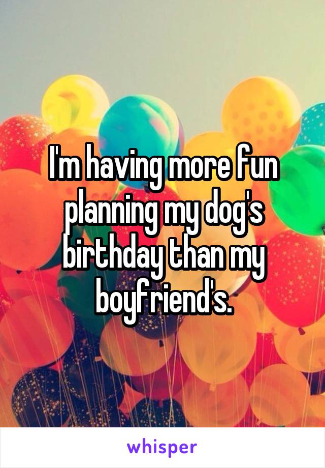 I'm having more fun planning my dog's birthday than my boyfriend's.