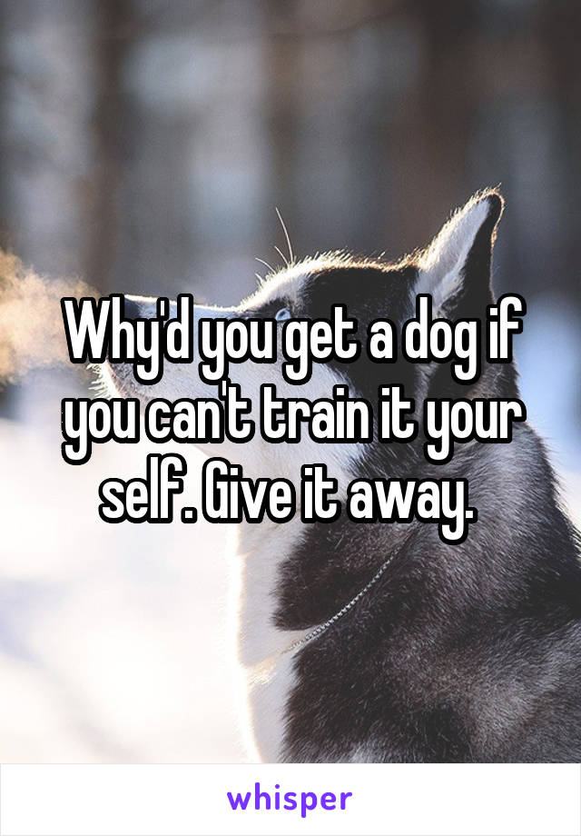 Why'd you get a dog if you can't train it your self. Give it away. 