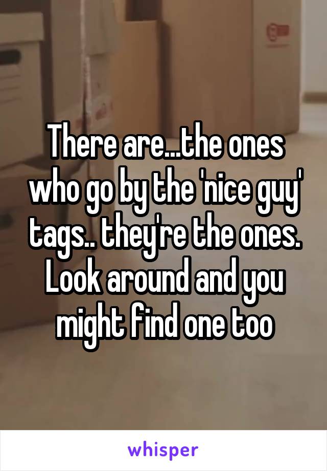 There are...the ones who go by the 'nice guy' tags.. they're the ones.
Look around and you might find one too