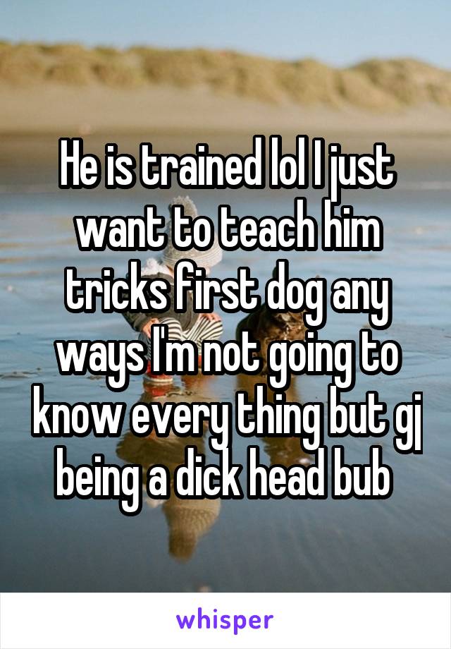 He is trained lol I just want to teach him tricks first dog any ways I'm not going to know every thing but gj being a dick head bub 