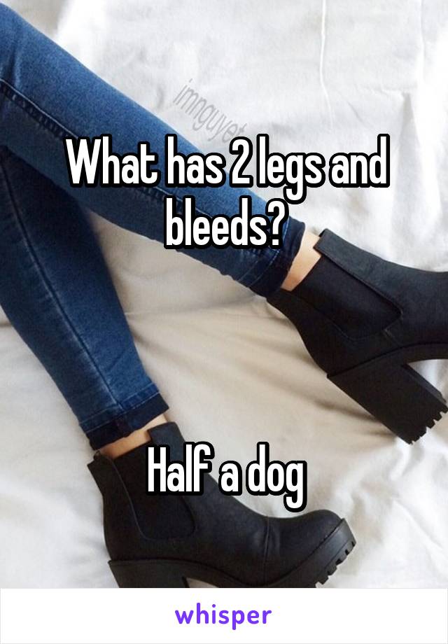 What has 2 legs and bleeds?



Half a dog