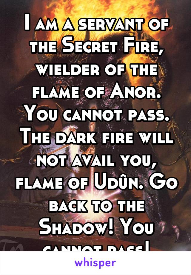 I am a servant of the Secret Fire, wielder of the flame of Anor. You cannot pass. The dark fire will not avail you, flame of Udûn. Go back to the Shadow! You cannot pass!