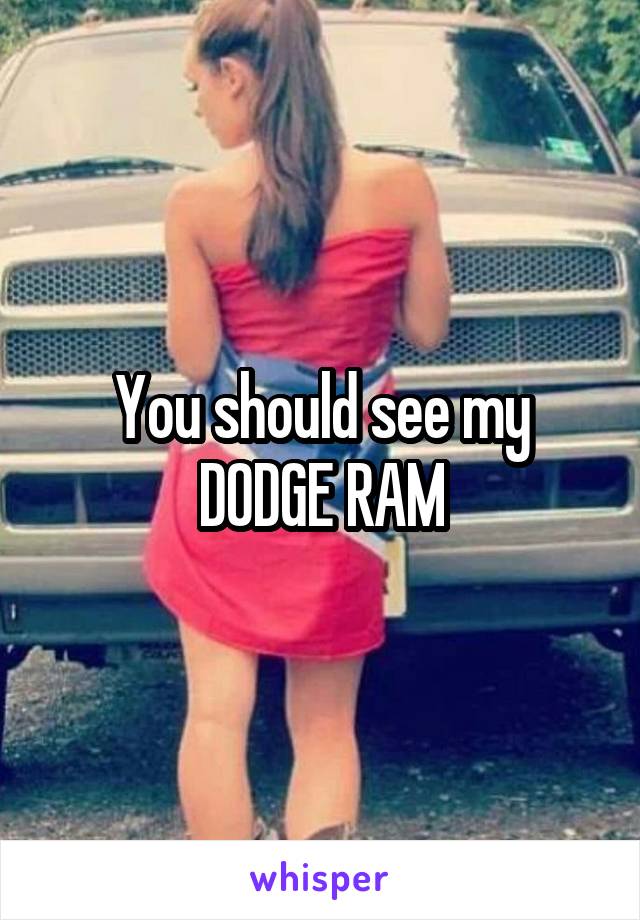 You should see my DODGE RAM