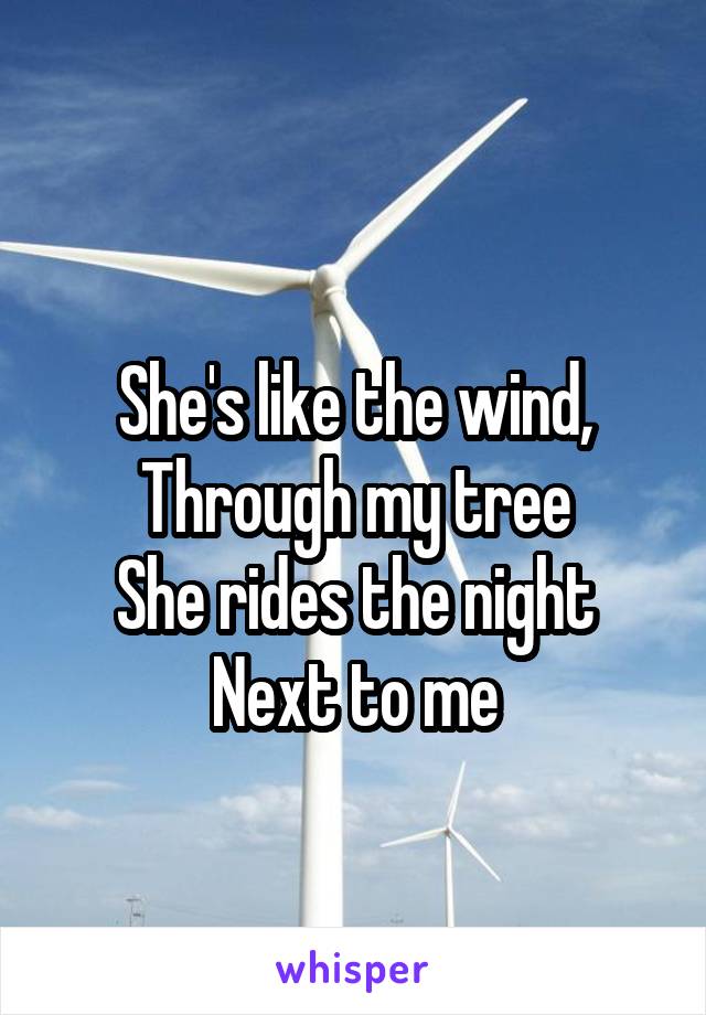 
She's like the wind,
Through my tree
She rides the night
Next to me