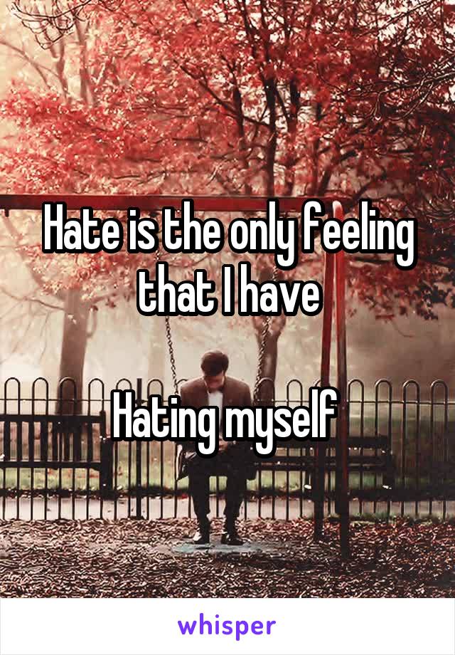 Hate is the only feeling that I have

Hating myself 