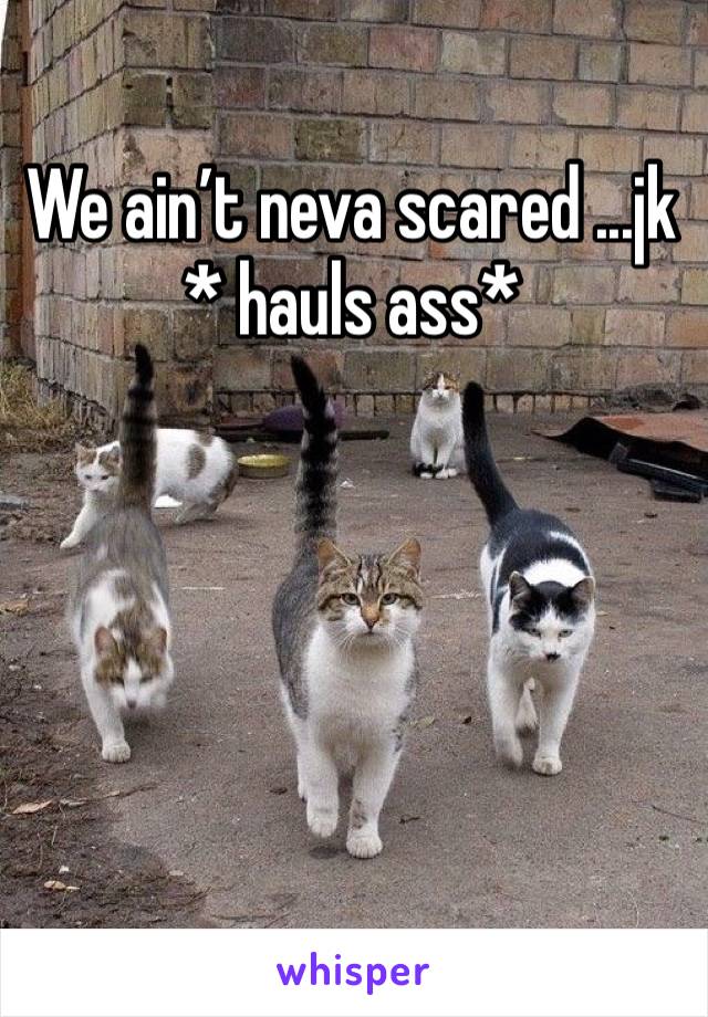 We ain’t neva scared ...jk
* hauls ass*