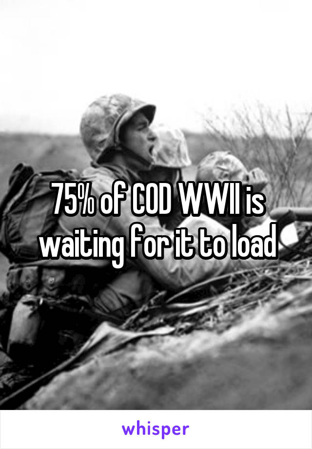 75% of COD WWII is waiting for it to load