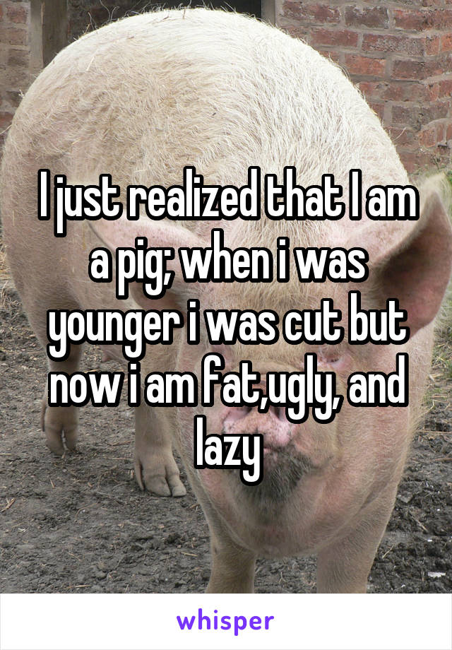I just realized that I am a pig; when i was younger i was cut but now i am fat,ugly, and lazy