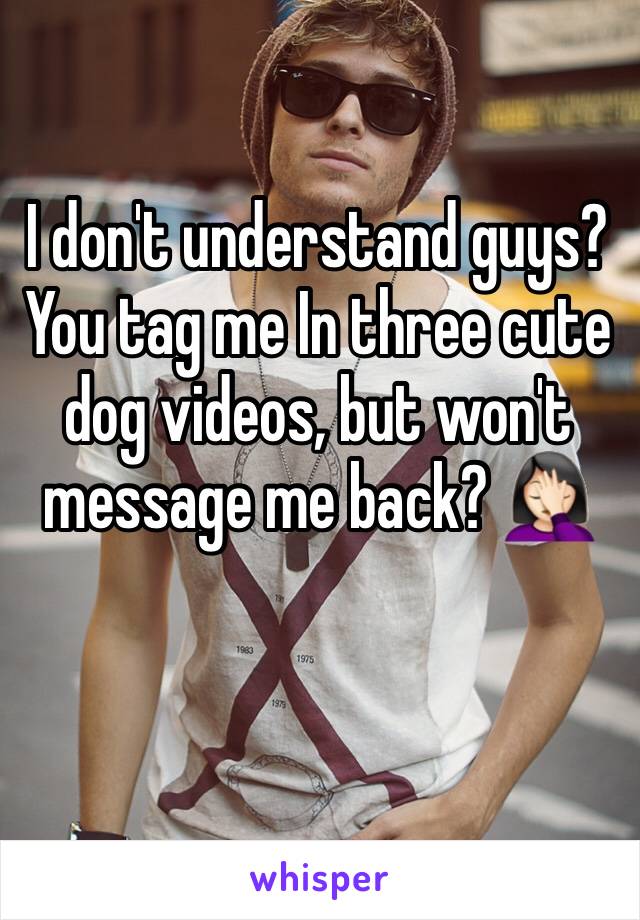 I don't understand guys? You tag me In three cute dog videos, but won't message me back? 🤦🏻‍♀️