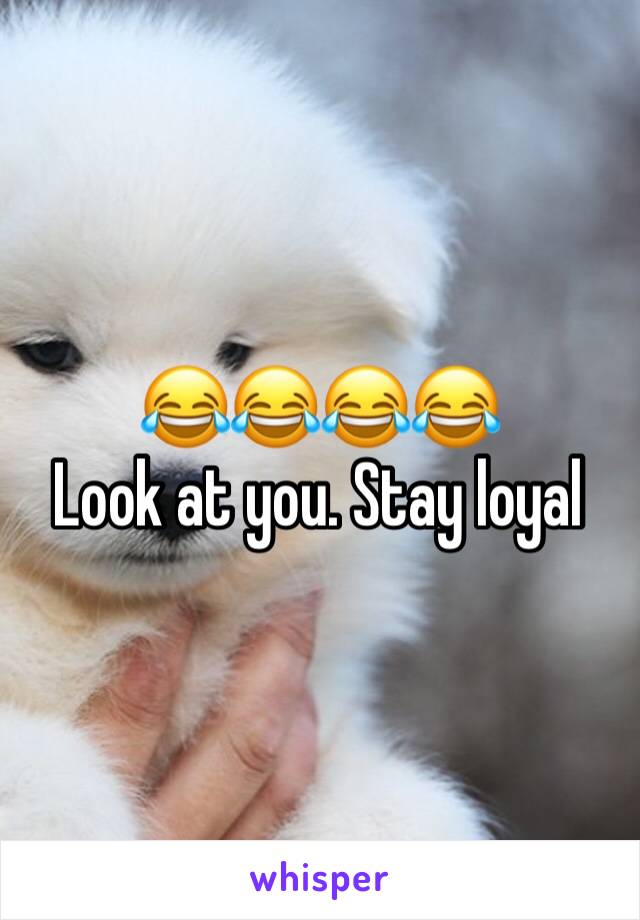 😂😂😂😂
Look at you. Stay loyal