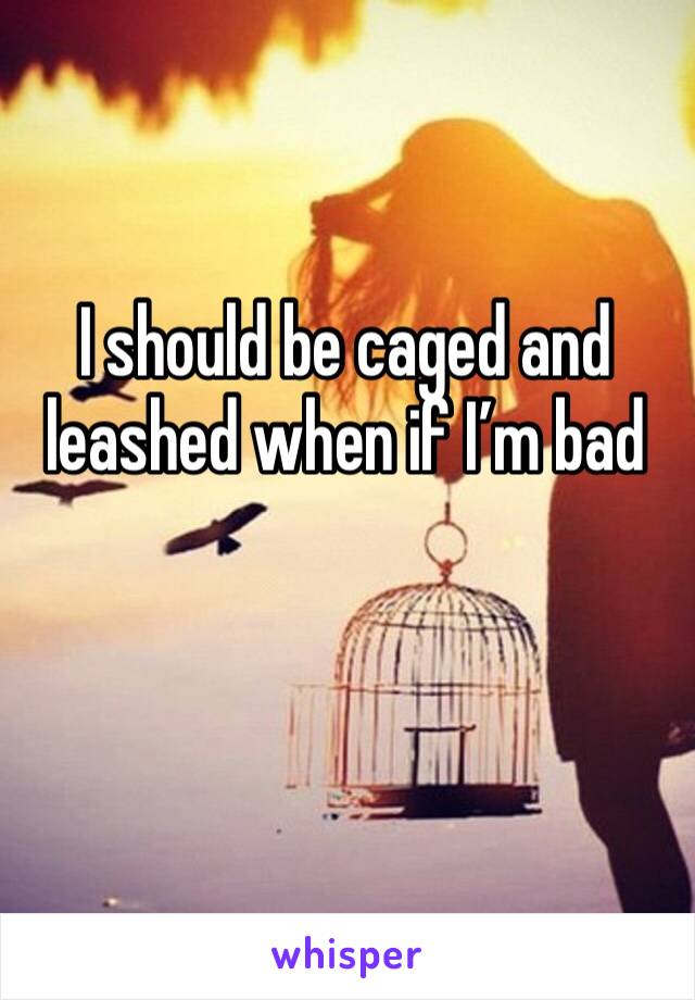 I should be caged and leashed when if I’m bad 