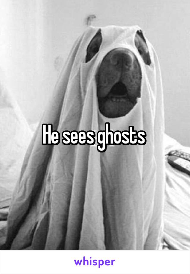 He sees ghosts 