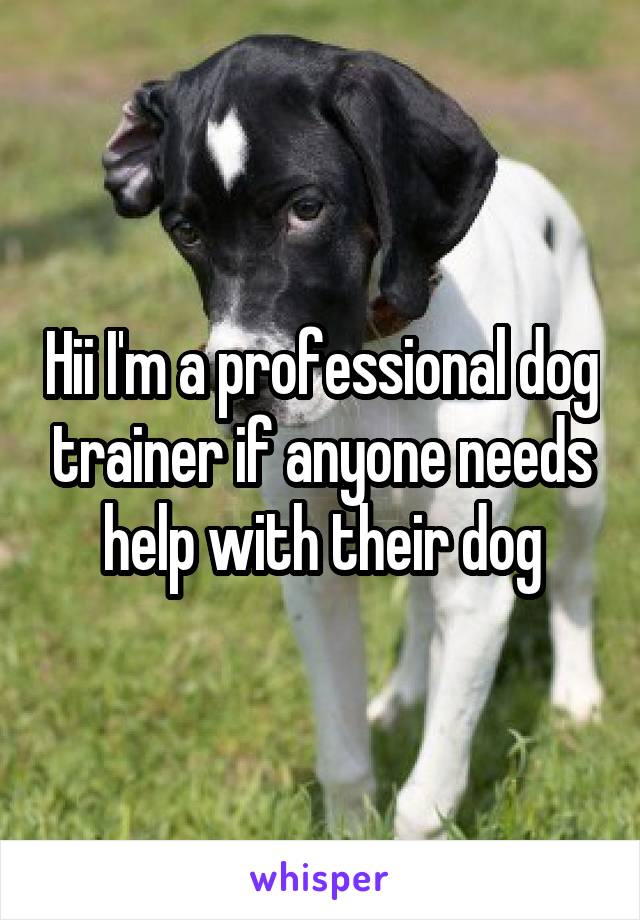 Hii I'm a professional dog trainer if anyone needs help with their dog