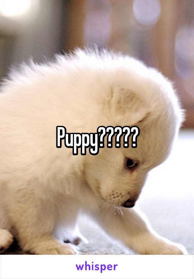 Puppy?????