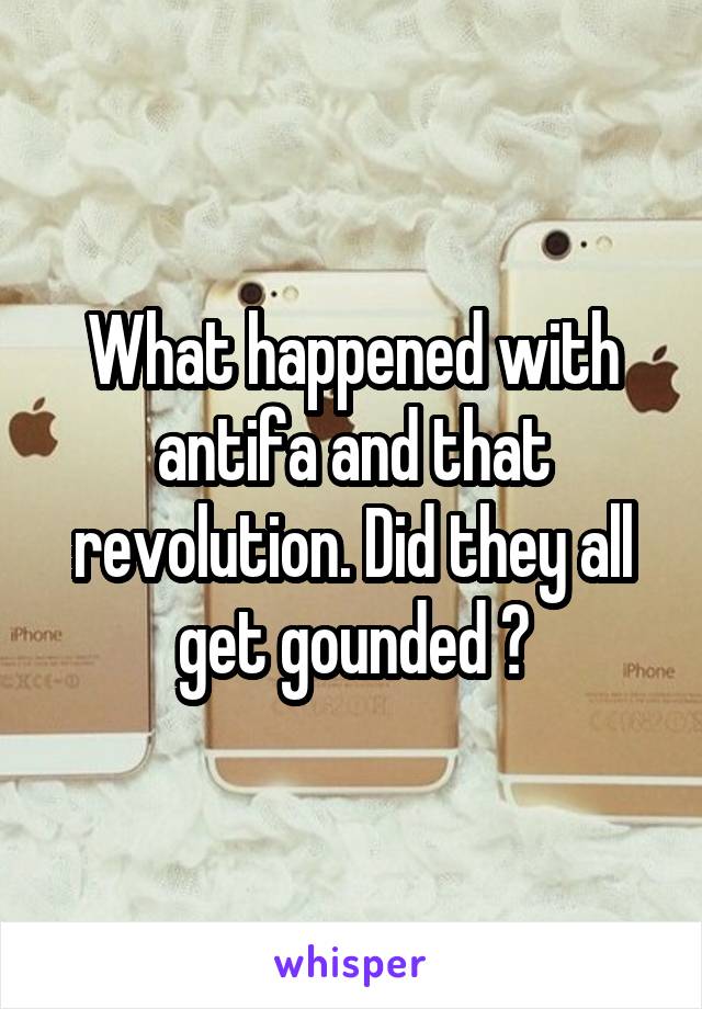 What happened with antifa and that revolution. Did they all get gounded ?