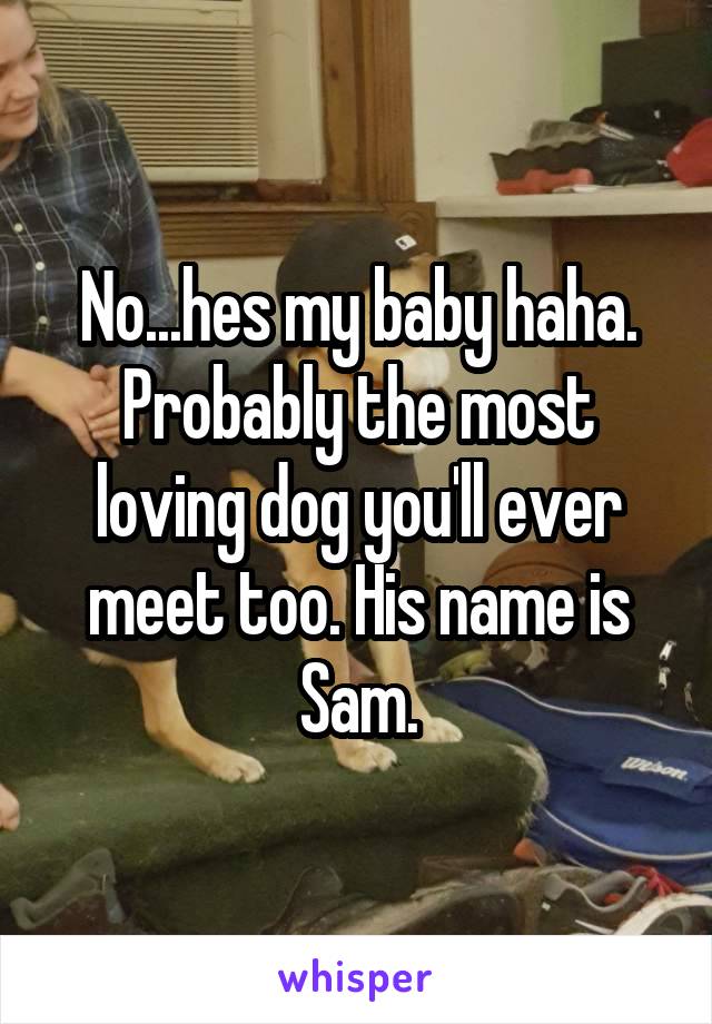 No...hes my baby haha. Probably the most loving dog you'll ever meet too. His name is Sam.