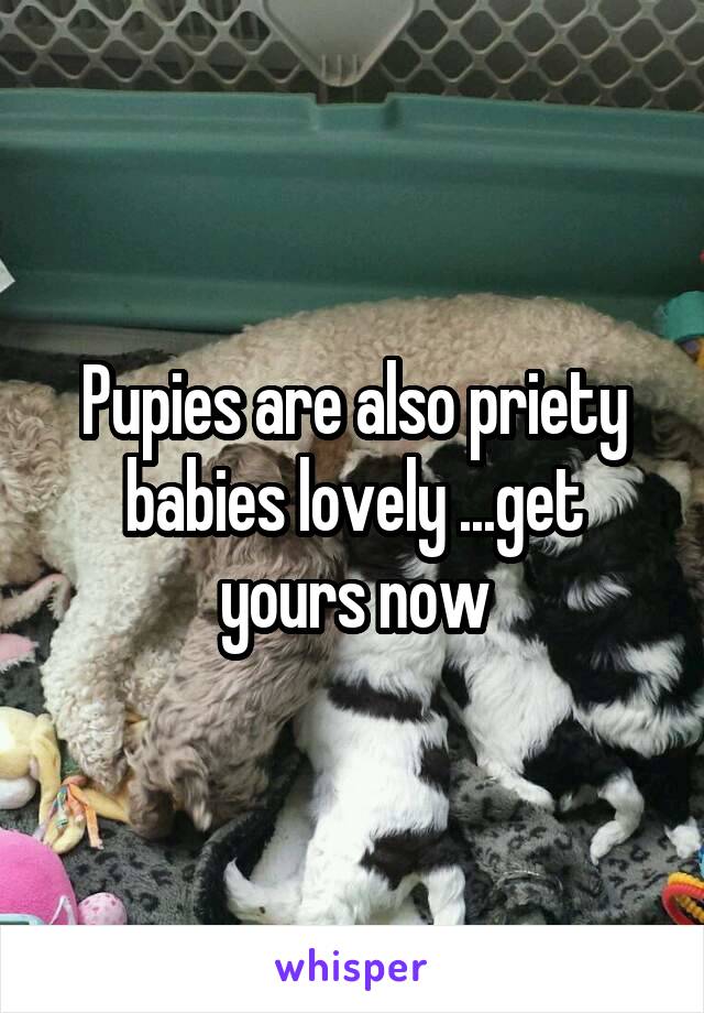 Pupies are also priety babies lovely ...get yours now
