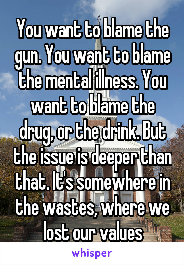 You want to blame the gun. You want to blame the mental illness. You want to blame the drug, or the drink. But the issue is deeper than that. It's somewhere in the wastes, where we lost our values