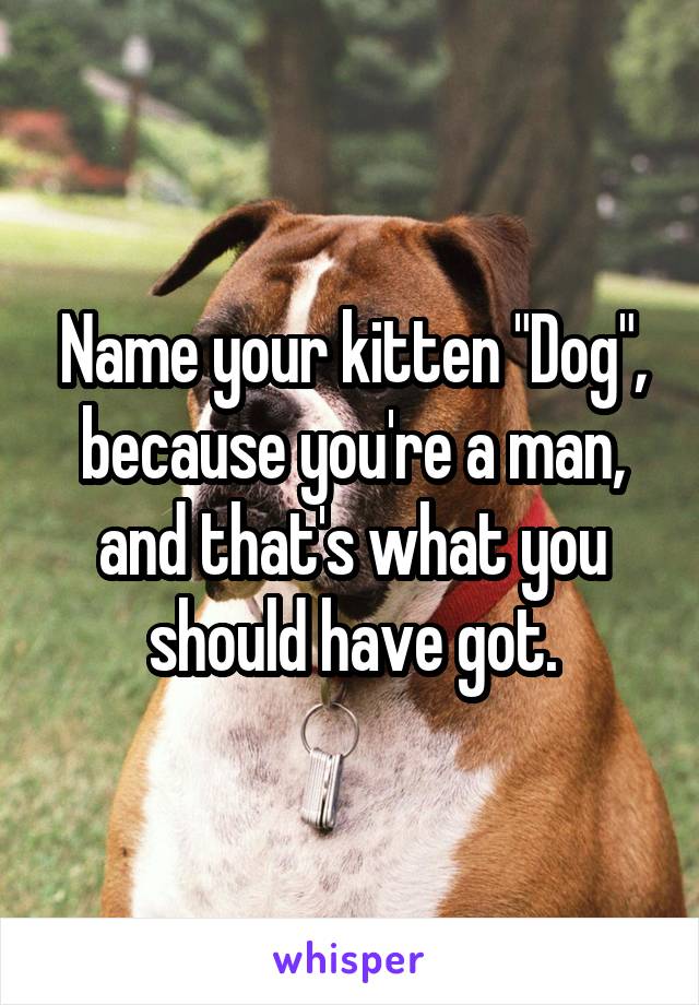 Name your kitten "Dog", because you're a man, and that's what you should have got.