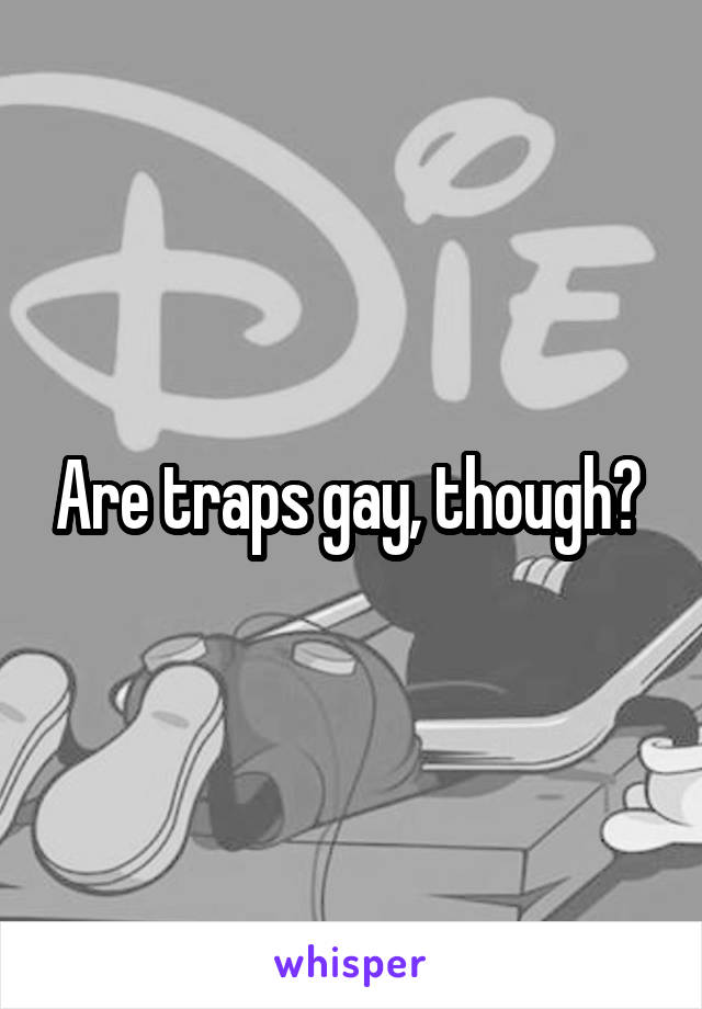 Are traps gay, though? 