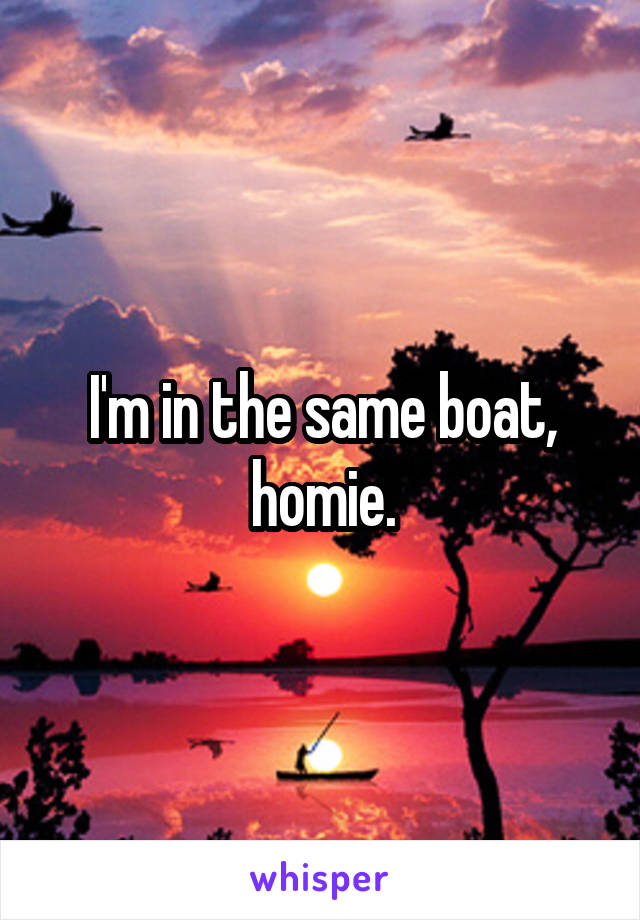 I'm in the same boat, homie.