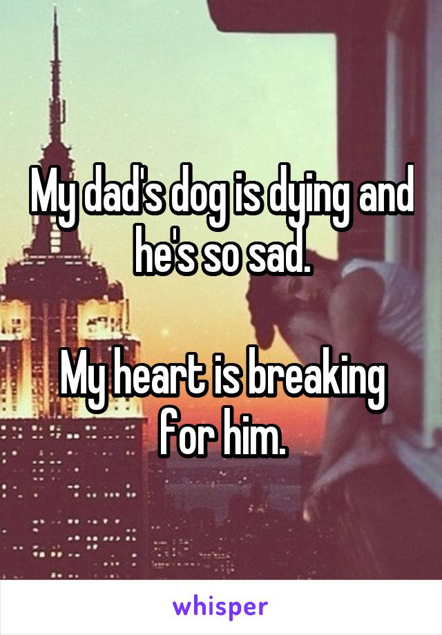My dad's dog is dying and he's so sad.

My heart is breaking for him.