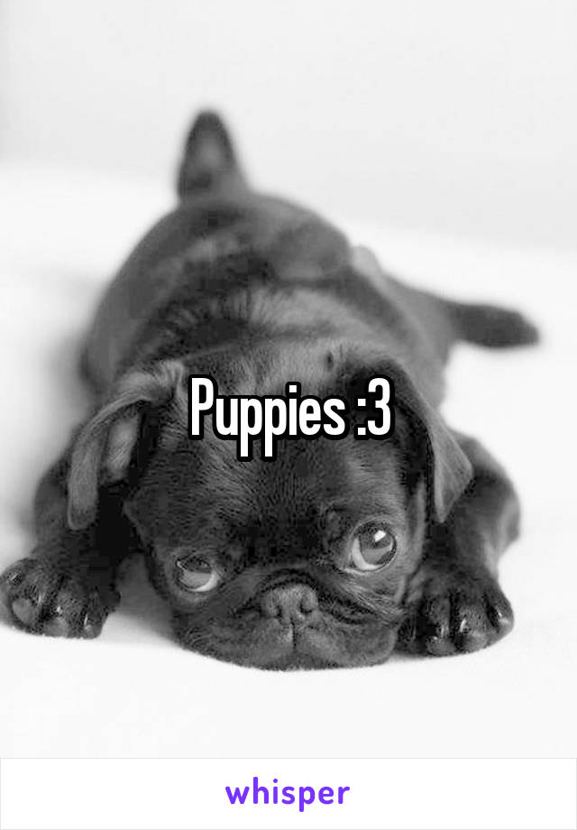 Puppies :3