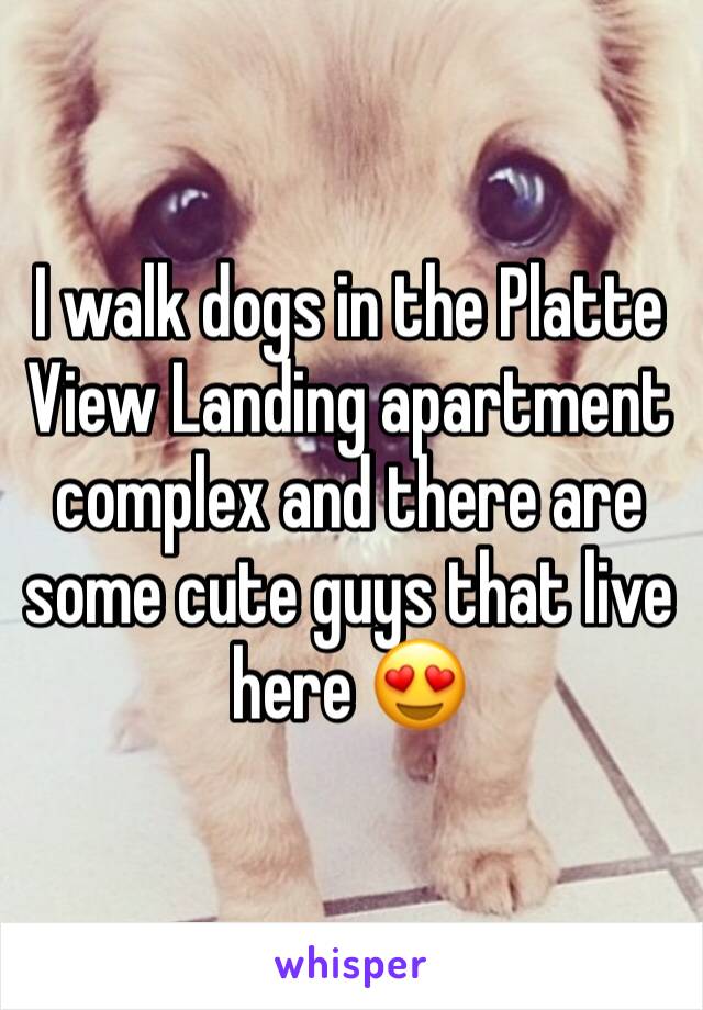 I walk dogs in the Platte View Landing apartment complex and there are some cute guys that live here 😍