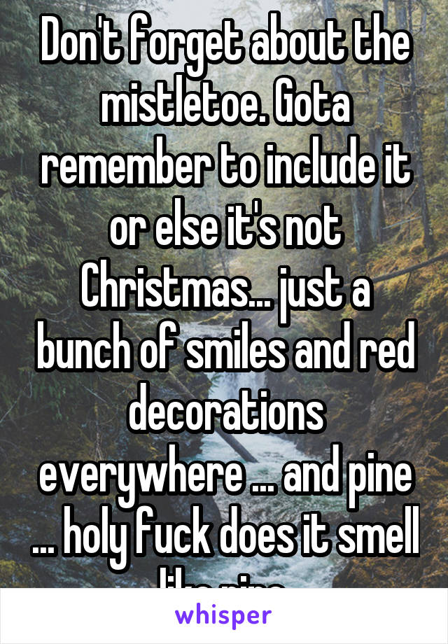 Don't forget about the mistletoe. Gota remember to include it or else it's not Christmas... just a bunch of smiles and red decorations everywhere ... and pine ... holy fuck does it smell like pine.