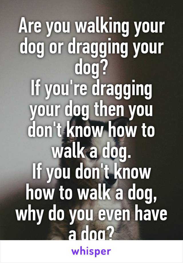 Are you walking your dog or dragging your dog?
If you're dragging your dog then you don't know how to walk a dog.
If you don't know how to walk a dog, why do you even have a dog?