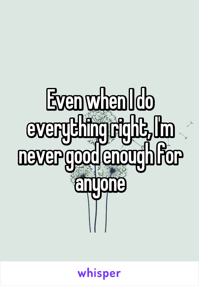 Even when I do everything right, I'm never good enough for anyone