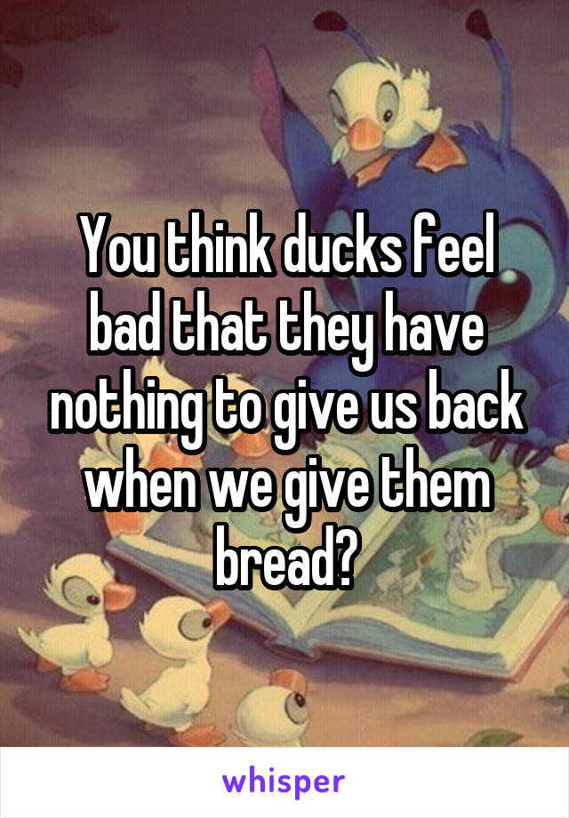 You think ducks feel bad that they have nothing to give us back when we give them bread?