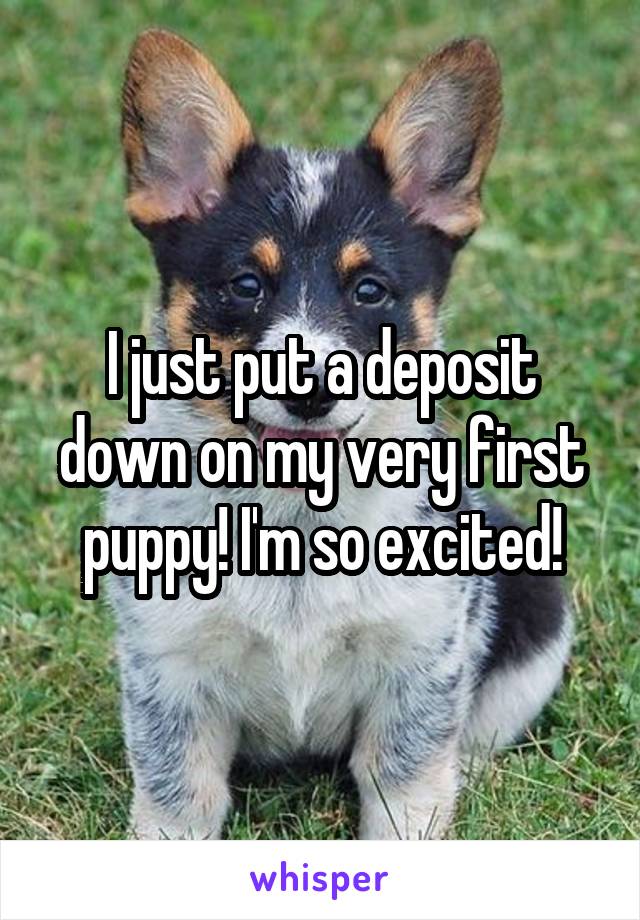 I just put a deposit down on my very first puppy! I'm so excited!