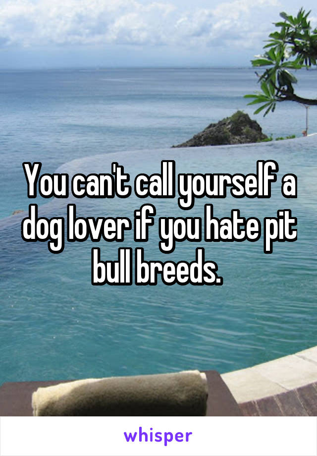 You can't call yourself a dog lover if you hate pit bull breeds. 