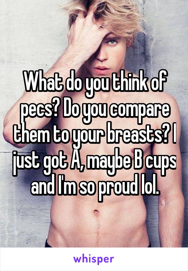 What do you think of pecs? Do you compare them to your breasts? I just got A, maybe B cups and I'm so proud lol.