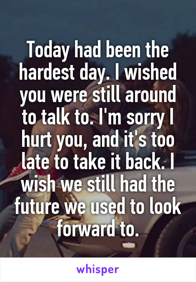 Today had been the hardest day. I wished you were still around to talk to. I'm sorry I hurt you, and it's too late to take it back. I wish we still had the future we used to look forward to.