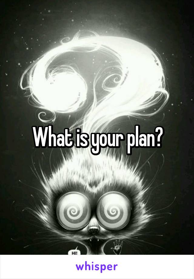 What is your plan?