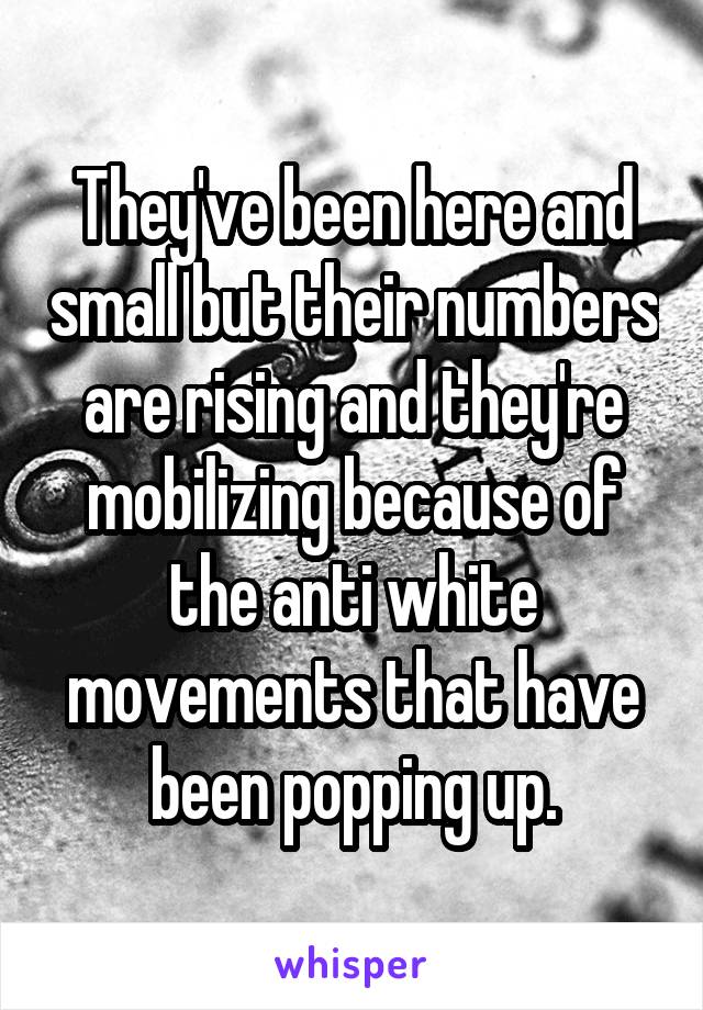 They've been here and small but their numbers are rising and they're mobilizing because of the anti white movements that have been popping up.