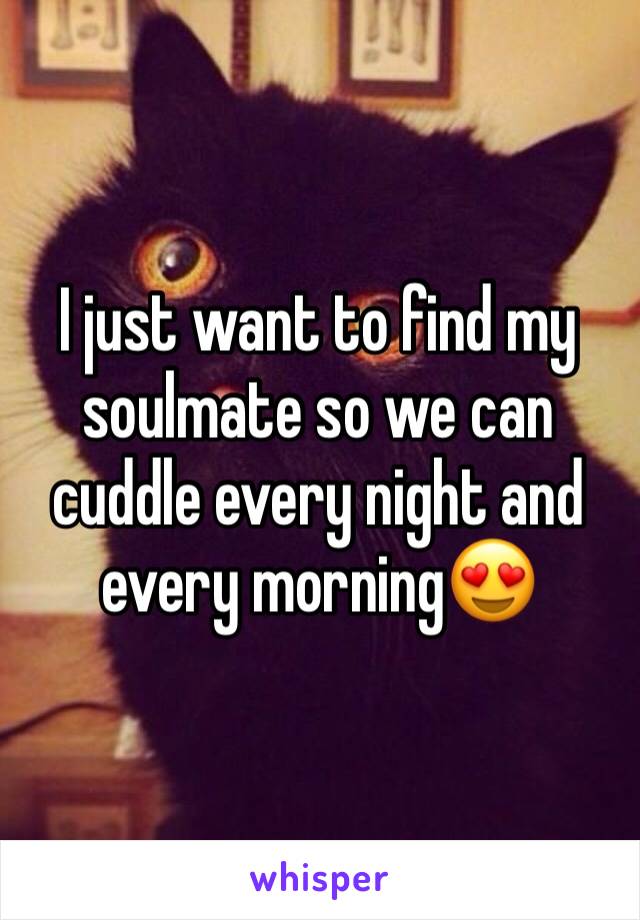 I just want to find my soulmate so we can cuddle every night and every morning😍
