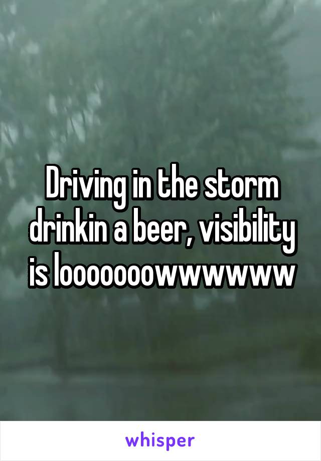 Driving in the storm drinkin a beer, visibility is looooooowwwwww