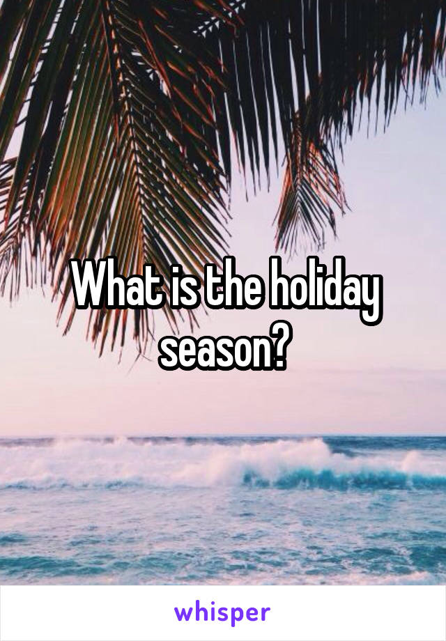 What is the holiday season?