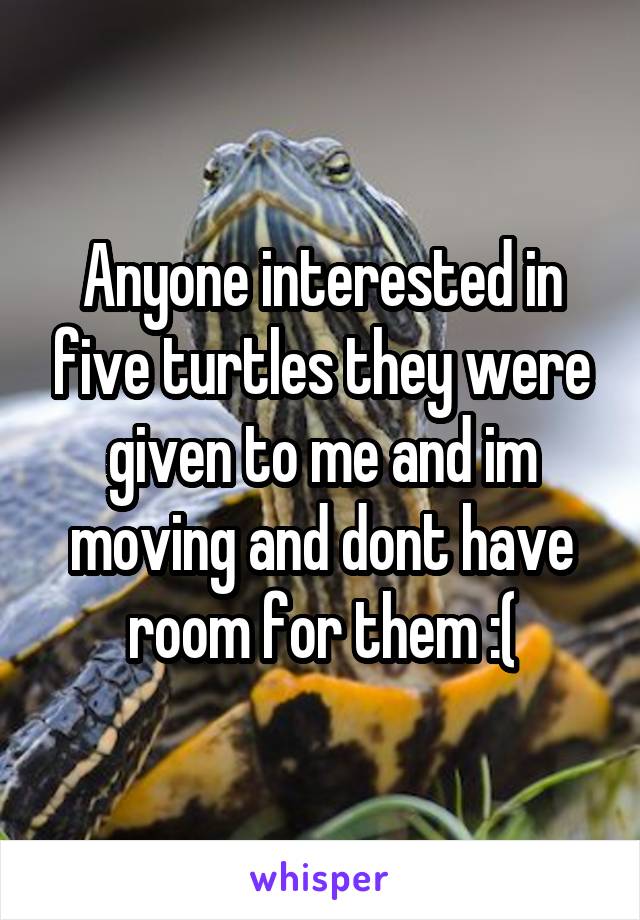 Anyone interested in five turtles they were given to me and im moving and dont have room for them :(