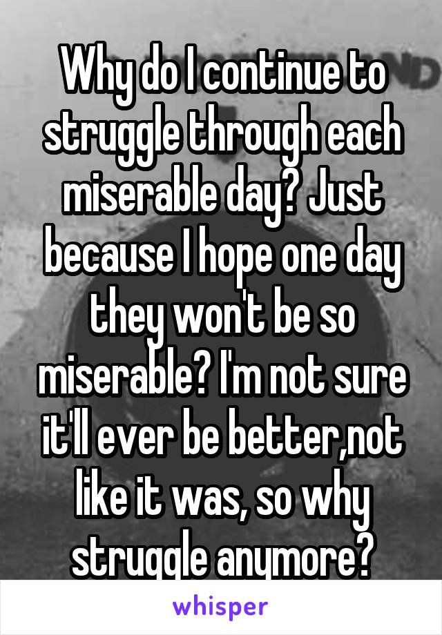 Why do I continue to struggle through each miserable day? Just because I hope one day they won't be so miserable? I'm not sure it'll ever be better,not like it was, so why struggle anymore?