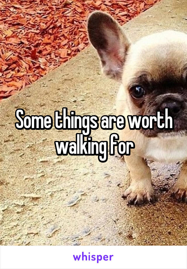 Some things are worth walking for