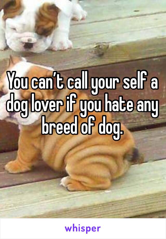 You can’t call your self a dog lover if you hate any breed of dog. 
