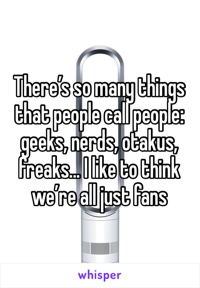 There’s so many things that people call people: geeks, nerds, otakus, freaks... I like to think we’re all just fans