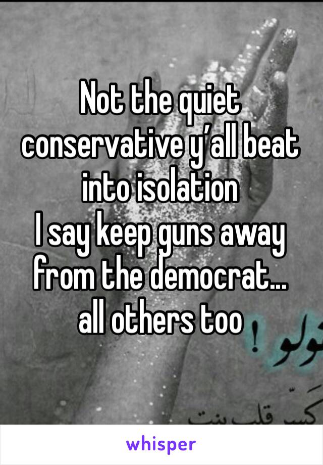 Not the quiet conservative y’all beat into isolation
I say keep guns away from the democrat...
all others too