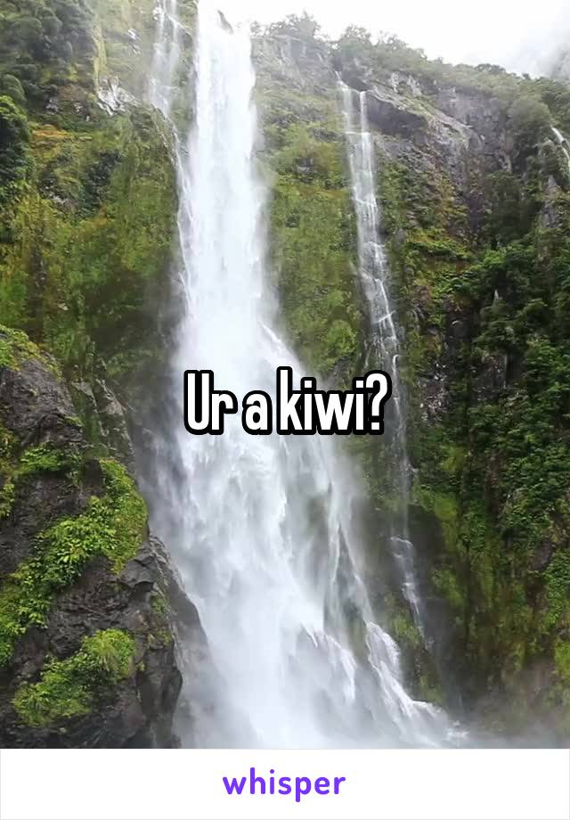 Ur a kiwi?