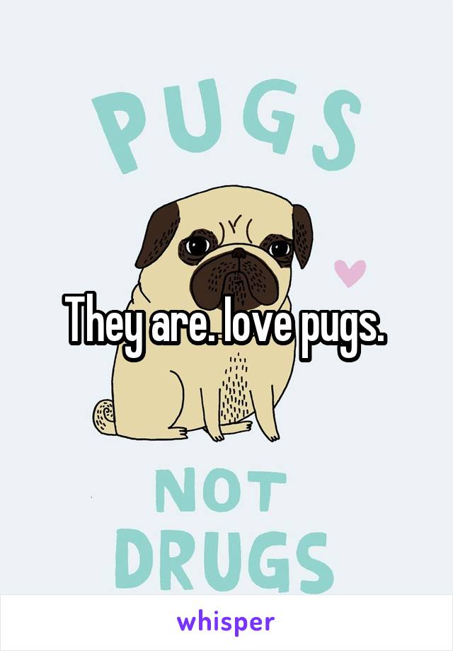 They are. Iove pugs. 