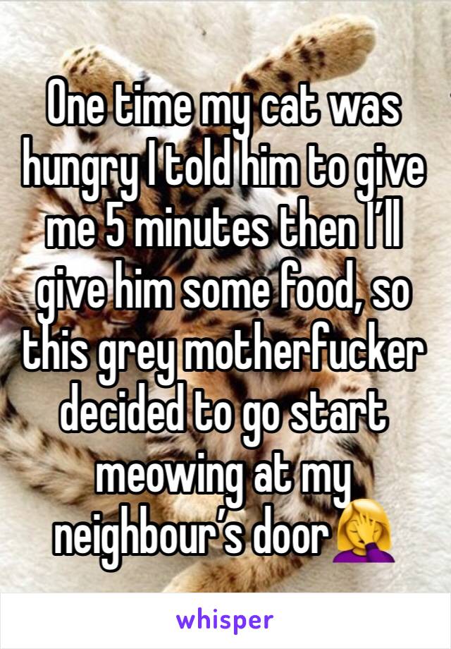 One time my cat was hungry I told him to give me 5 minutes then I’ll give him some food, so this grey motherfucker decided to go start meowing at my neighbour’s door🤦‍♀️